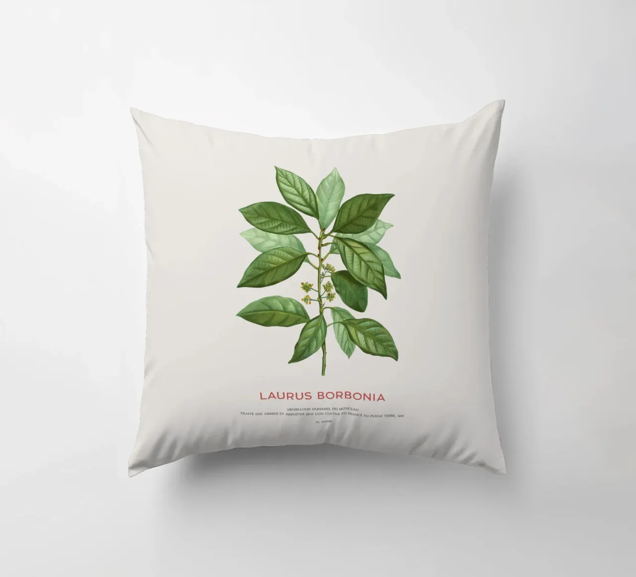 Lauro Borbone o Laurus Borbonia cuscino da Vintagrafica