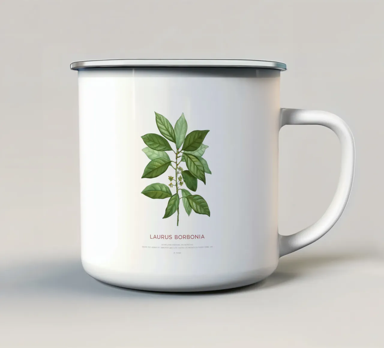 Lauro Borbone o Laurus Borbonia tazza in smalto da Vintagrafica