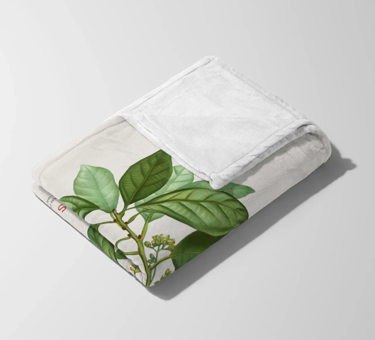 Lauro Borbone o Laurus Borbonia coperta in pile da Vintagrafica
