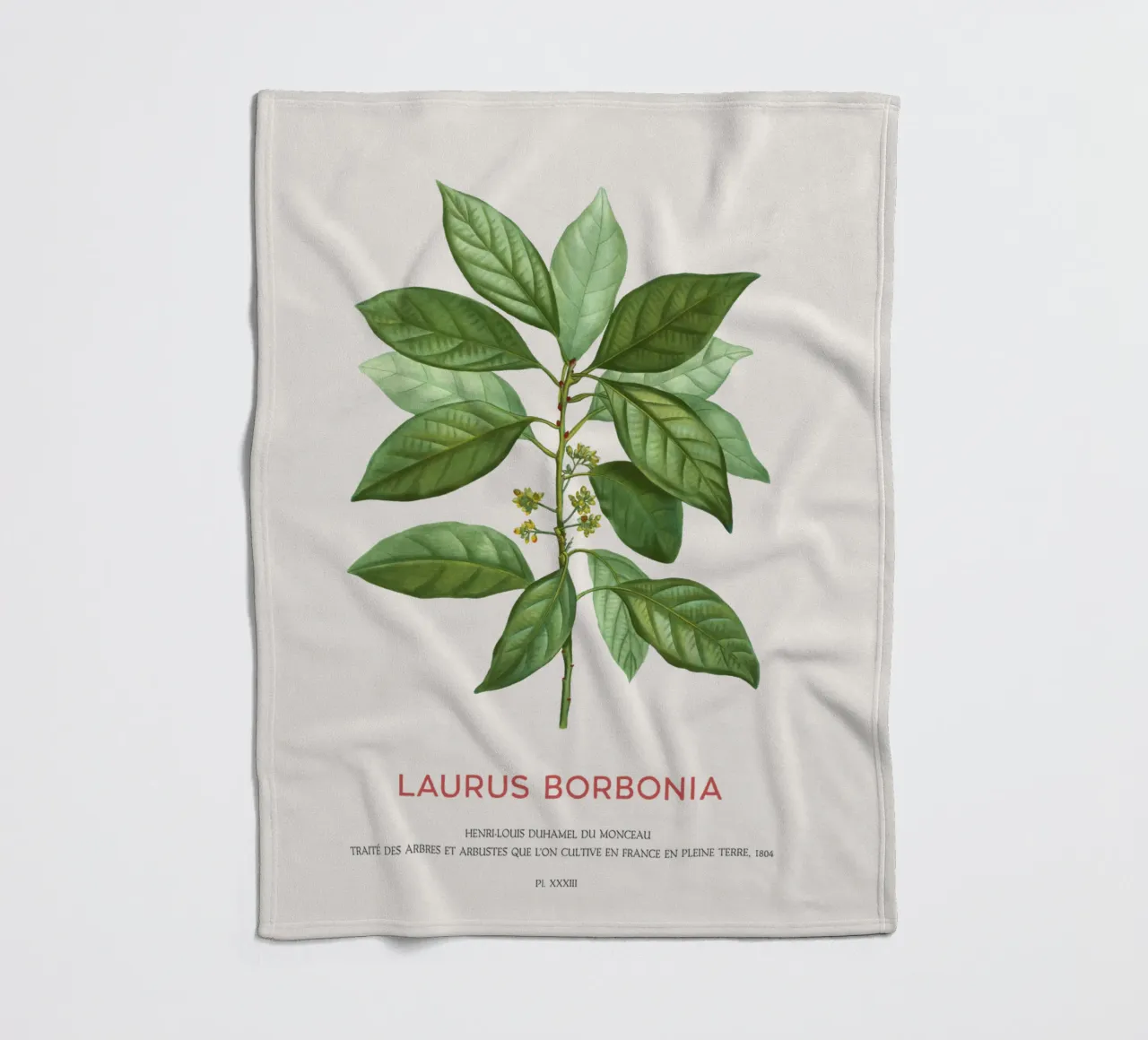 Lauro Borbone o Laurus Borbonia coperta in pile da Vintagrafica