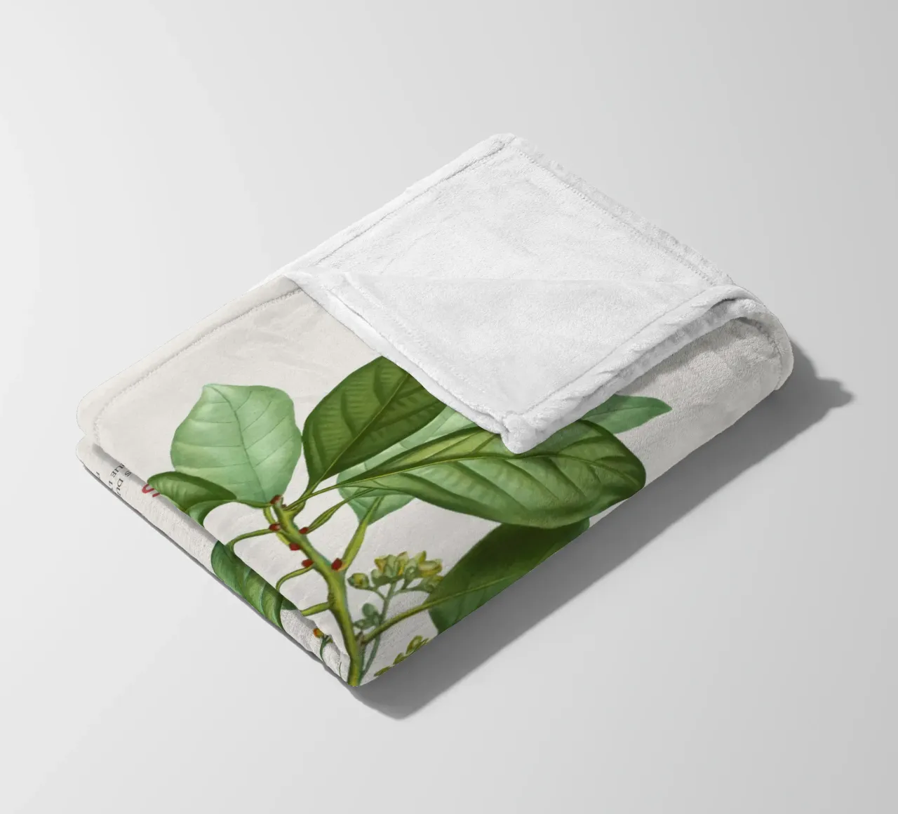 Lauro Borbone o Laurus Borbonia coperta in pile da Vintagrafica