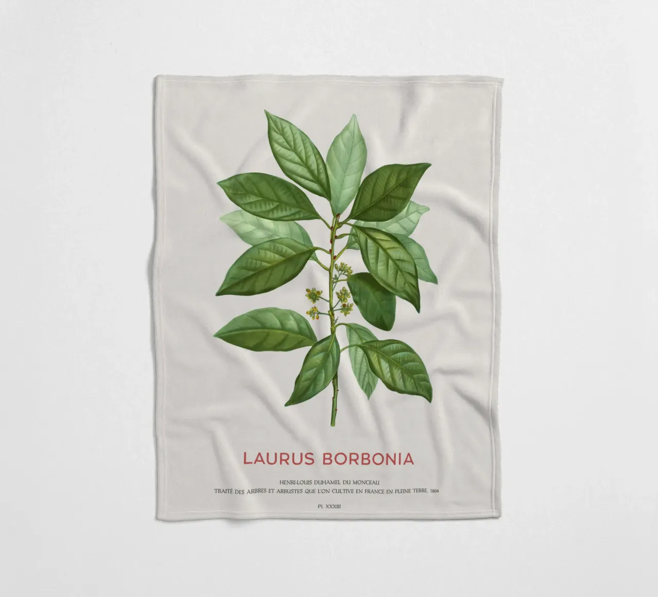 Lauro Borbone o Laurus Borbonia coperta in pile da Vintagrafica