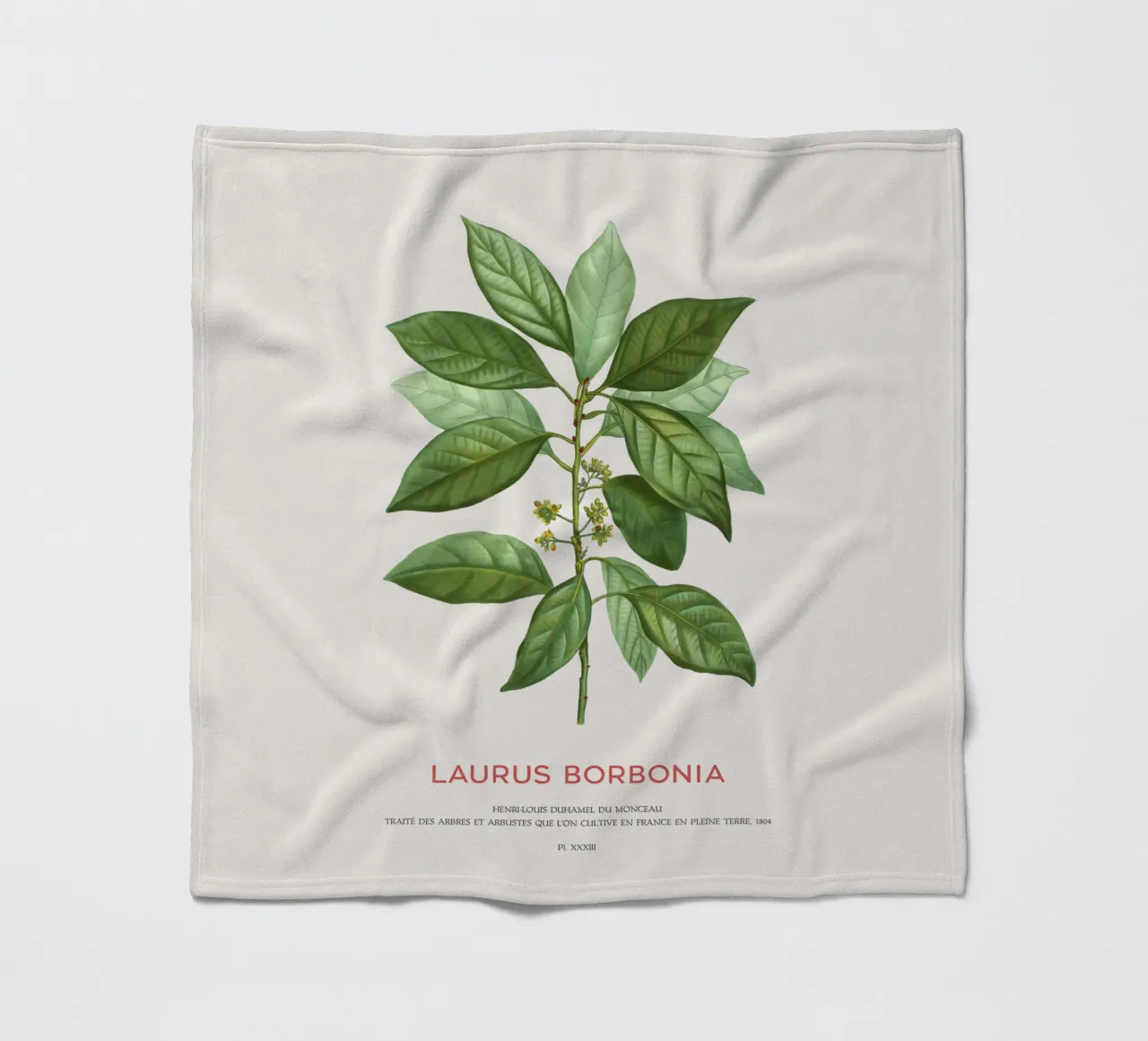 Lauro Borbone o Laurus Borbonia coperta in pile da Vintagrafica
