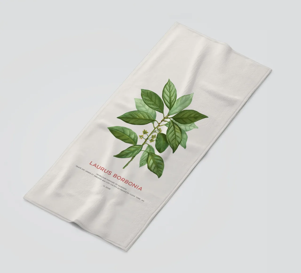 Redbay or Laurus Borbonia beach towel by Vintagrafica