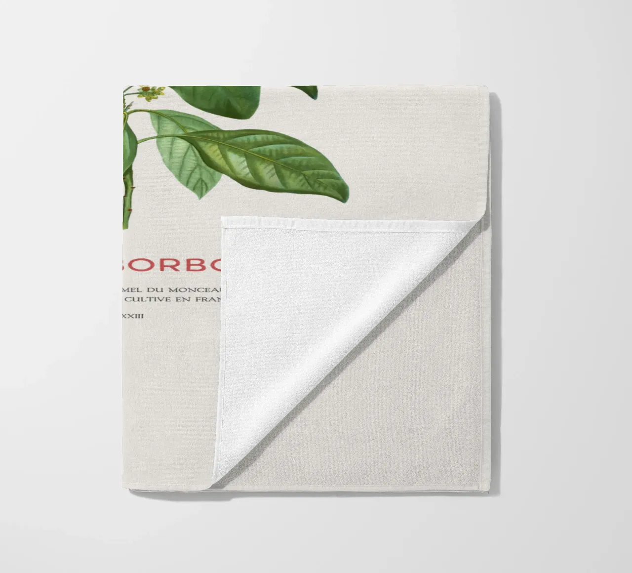 Redbay or Laurus Borbonia beach towel by Vintagrafica