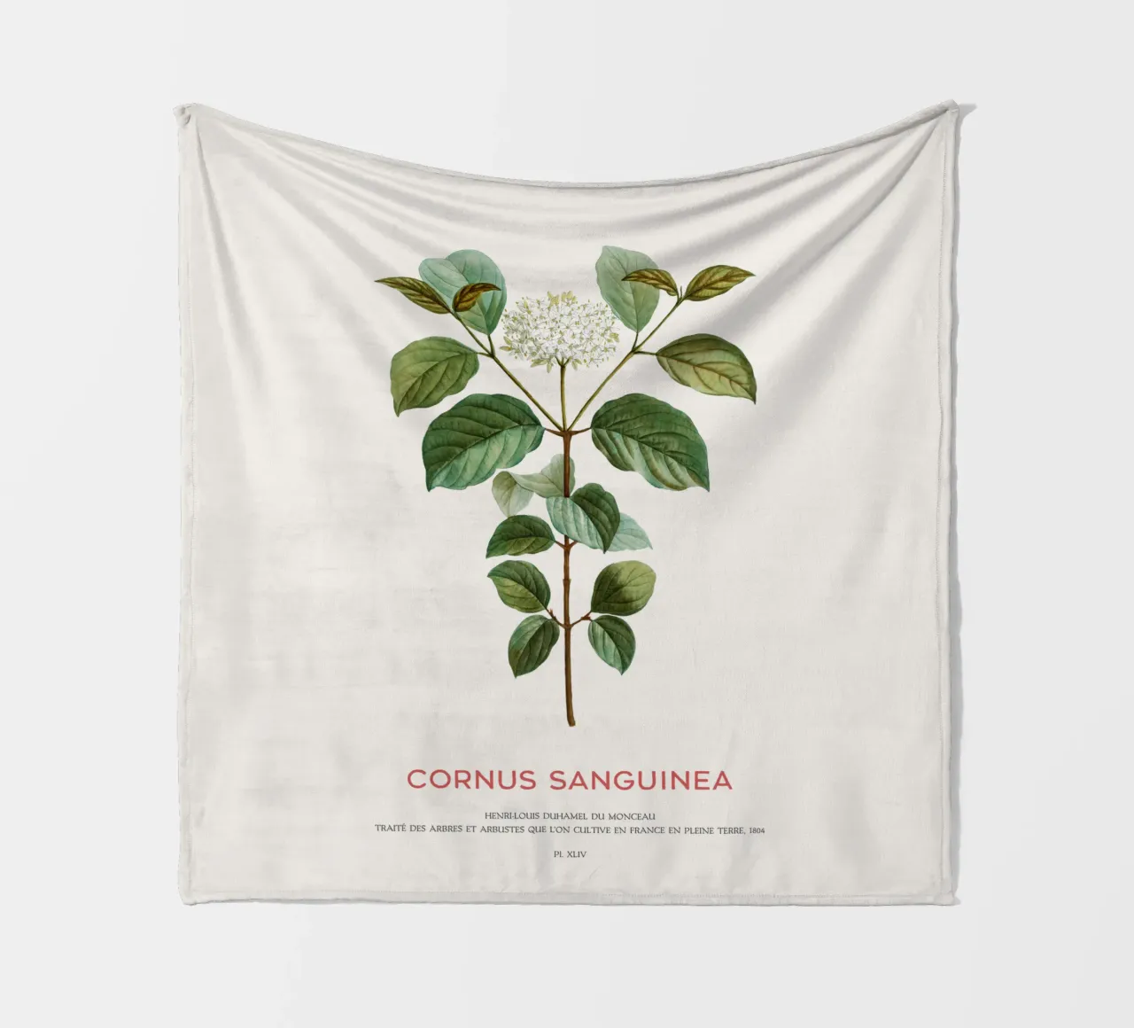 Blutiger Hartriegel oder Cornus Sanguinea Fleecedecke von Vintagrafica