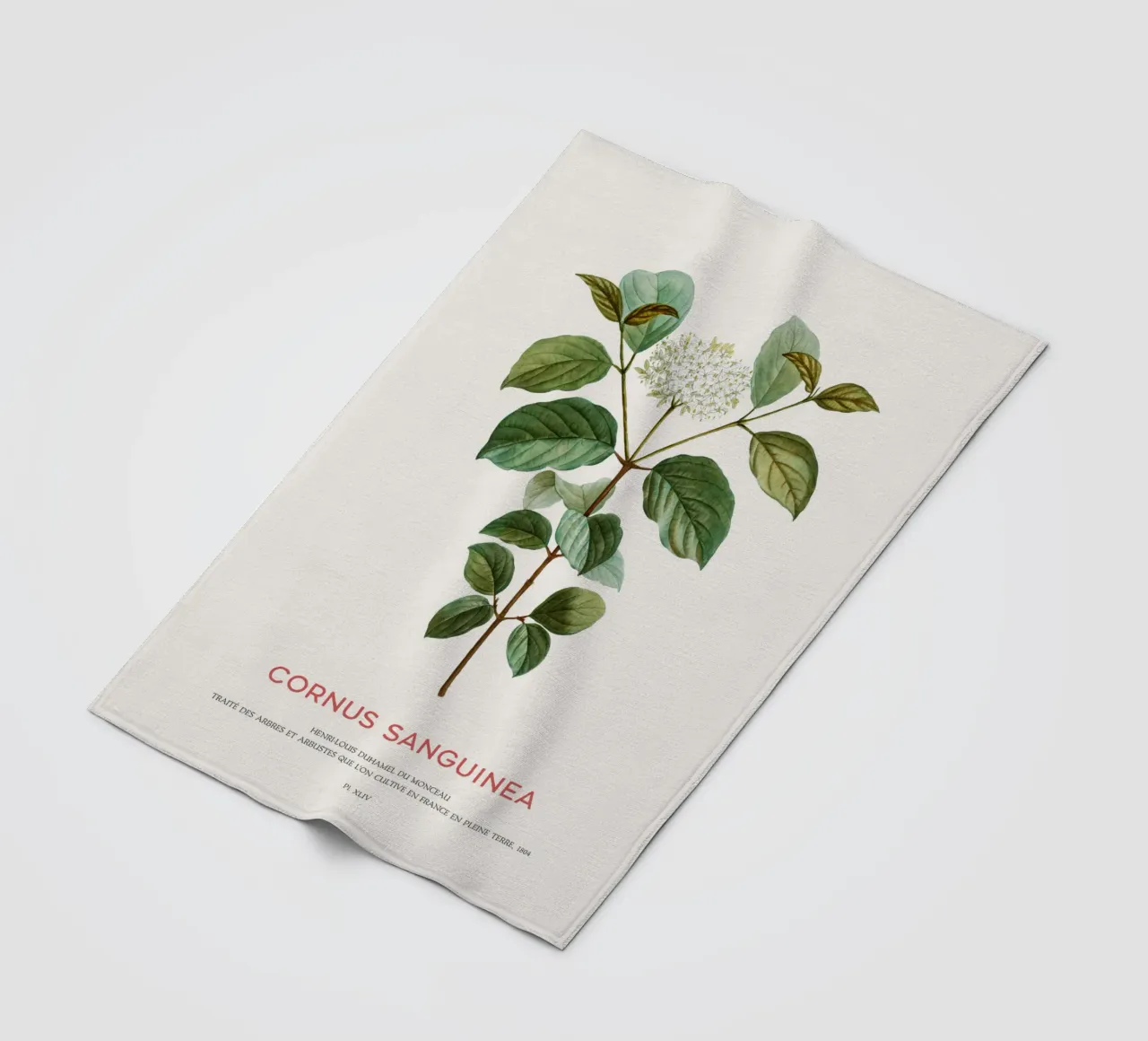 Blutiger Hartriegel oder Cornus Sanguinea Fleecedecke von Vintagrafica