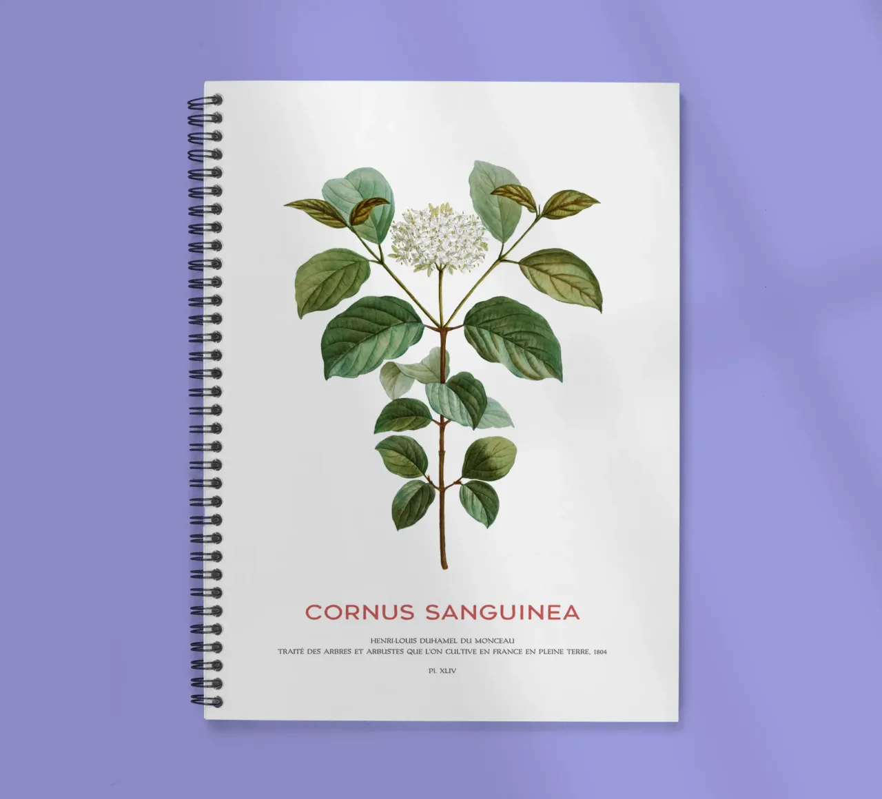 Bloederige kornoelje of Cornus Sanguinea notitieboek met spiraal van Vintagrafica