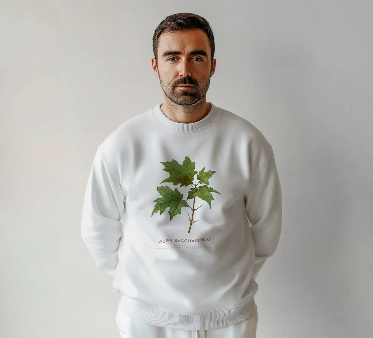 Acero d'argento o Acer Saccharinum felpa da Vintagrafica