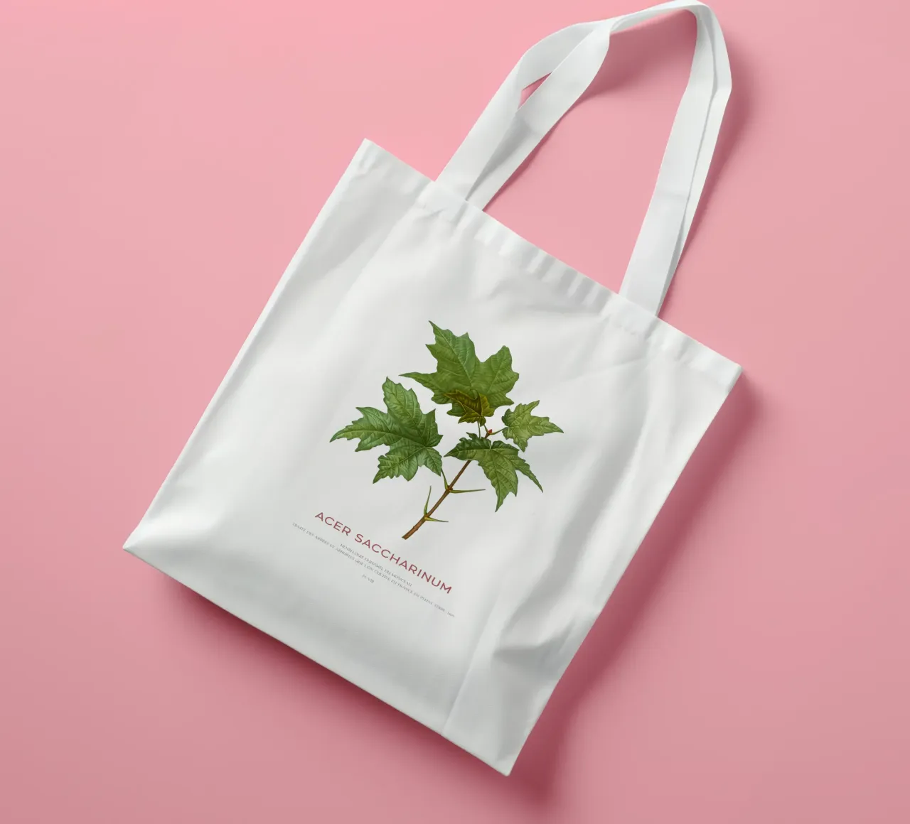 Acero d'argento o Acer Saccharinum borsa in juta da Vintagrafica