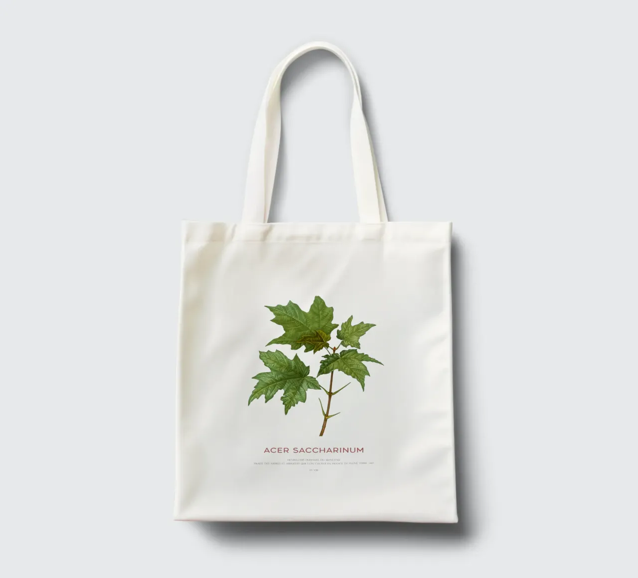 Acero d'argento o Acer Saccharinum borsa in juta da Vintagrafica