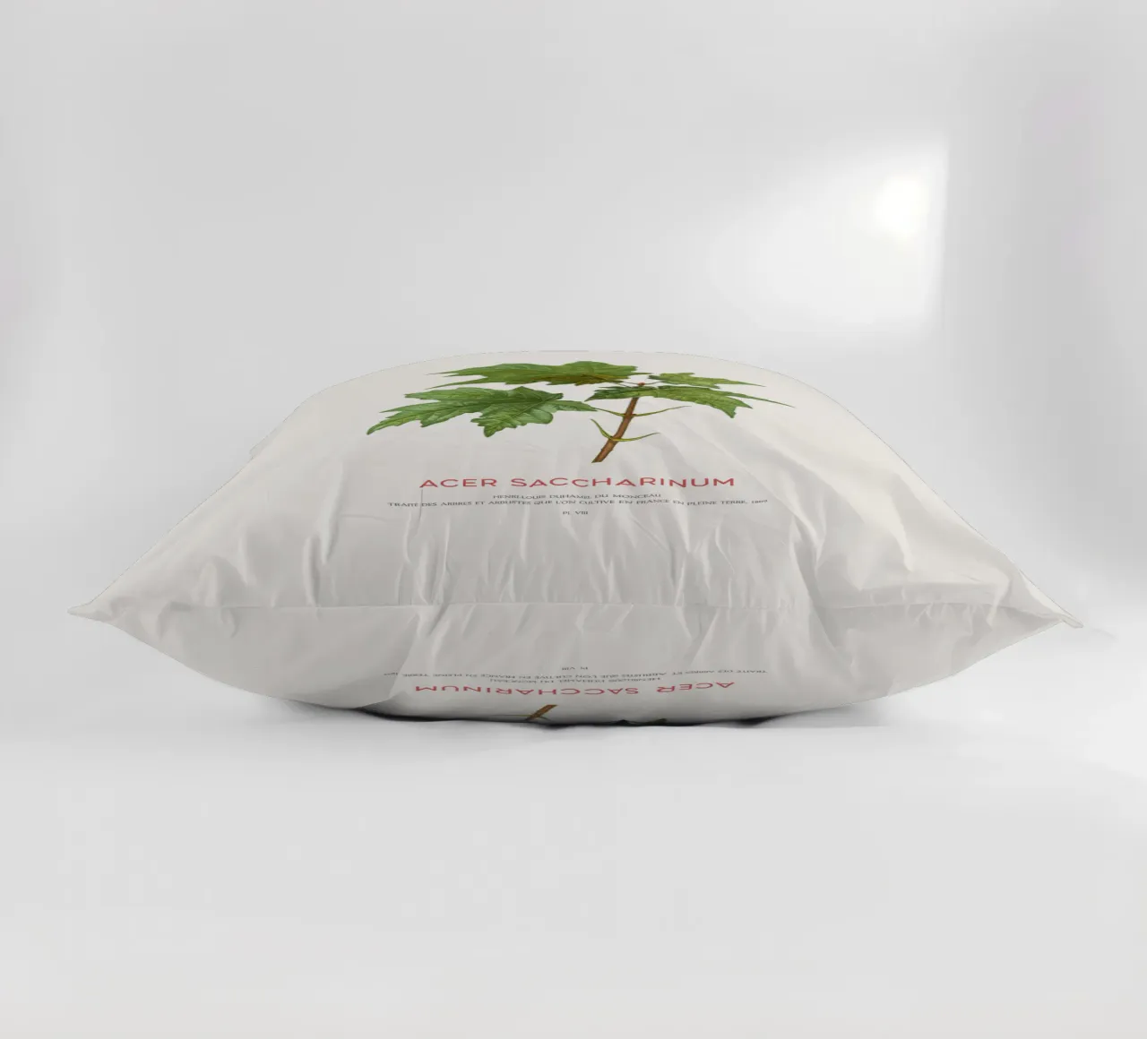 Acero d'argento o Acer Saccharinum cuscino da Vintagrafica