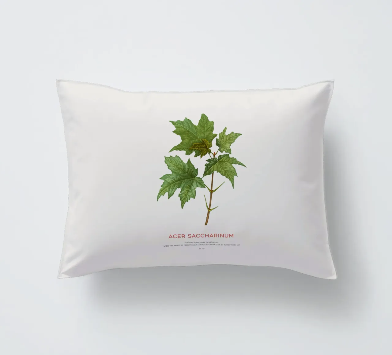 Acero d'argento o Acer Saccharinum cuscino da Vintagrafica