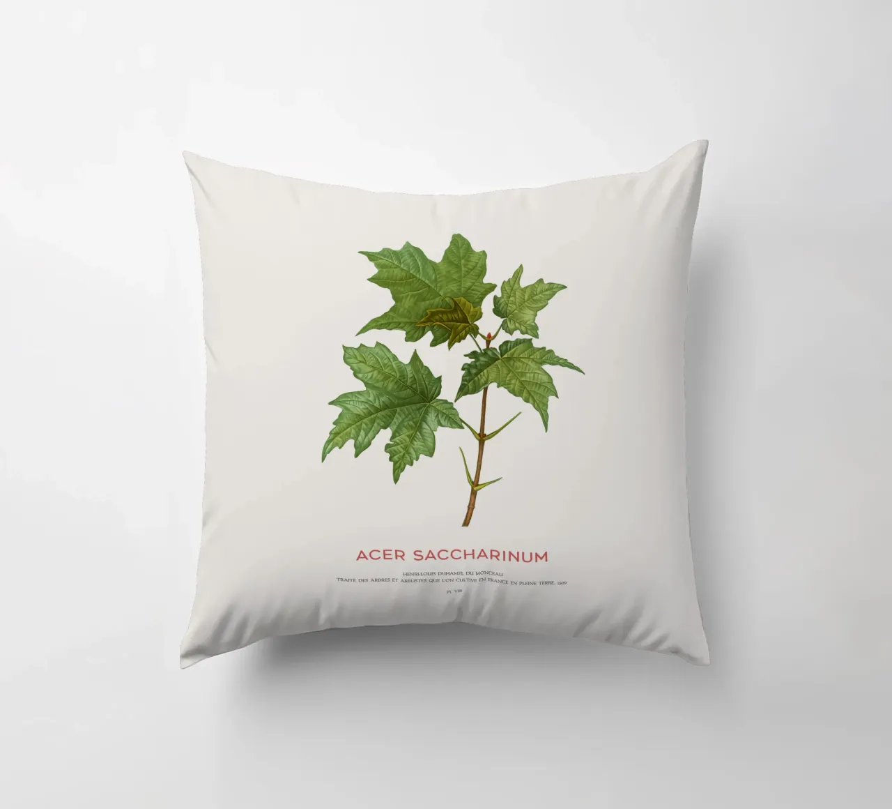Acero d'argento o Acer Saccharinum cuscino da Vintagrafica