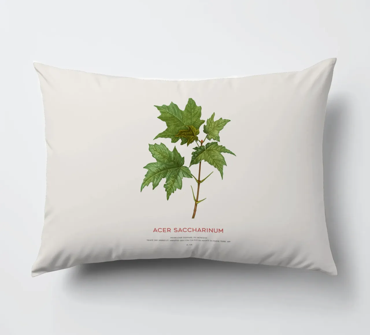 Acero d'argento o Acer Saccharinum cuscino da Vintagrafica