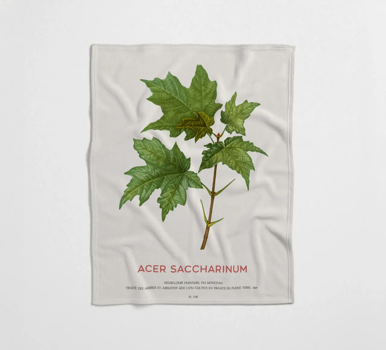 Acero d'argento o Acer Saccharinum coperta in pile da Vintagrafica