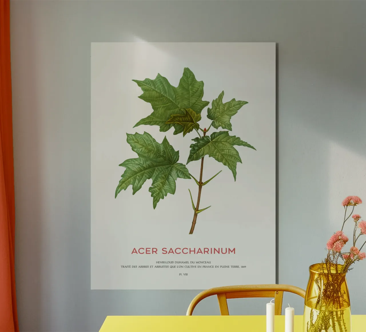 Acero d'argento o Acer Saccharinum alluminio dibond da Vintagrafica