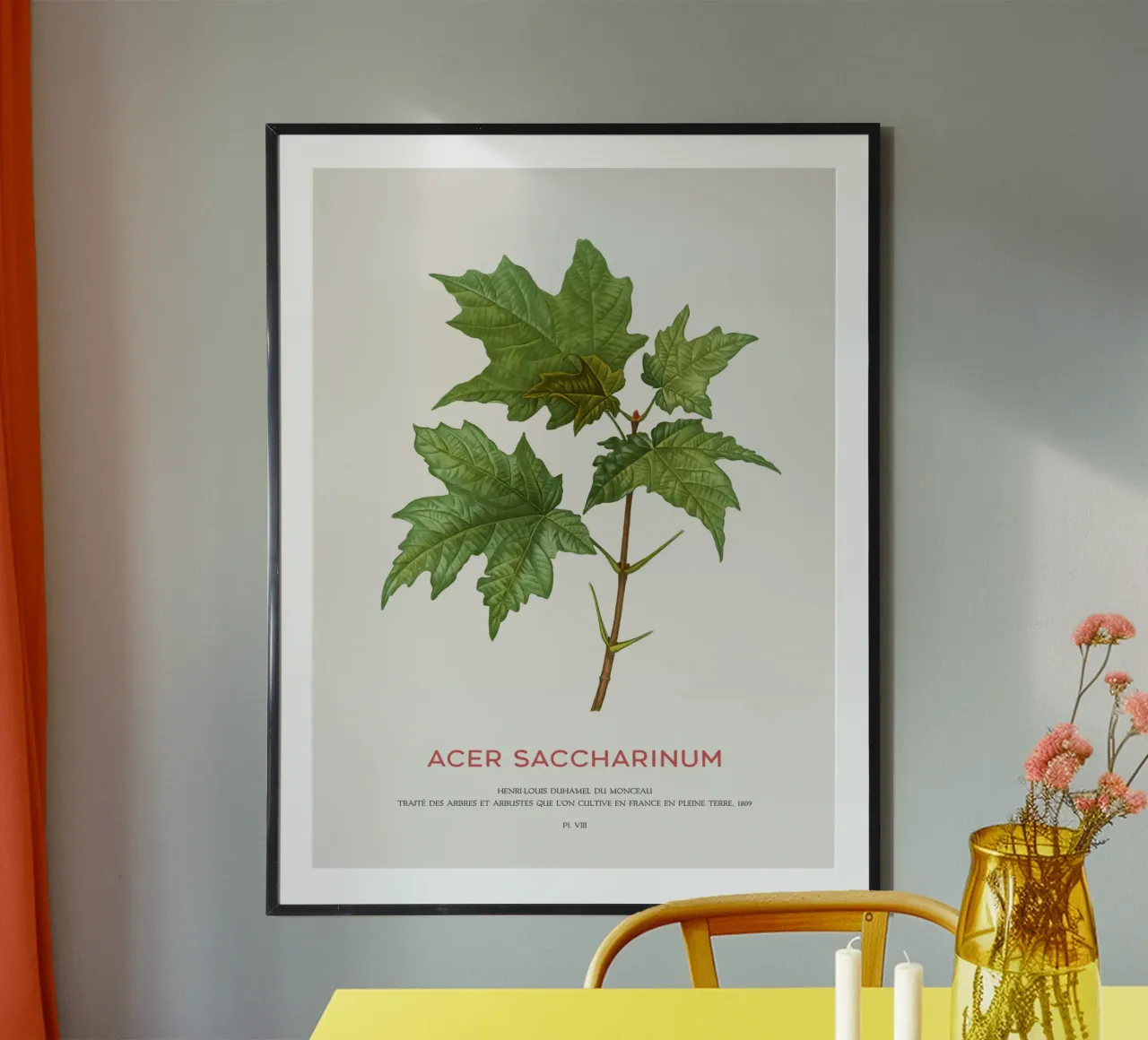 Acero d'argento o Acer Saccharinum carta hahnemühle da Vintagrafica