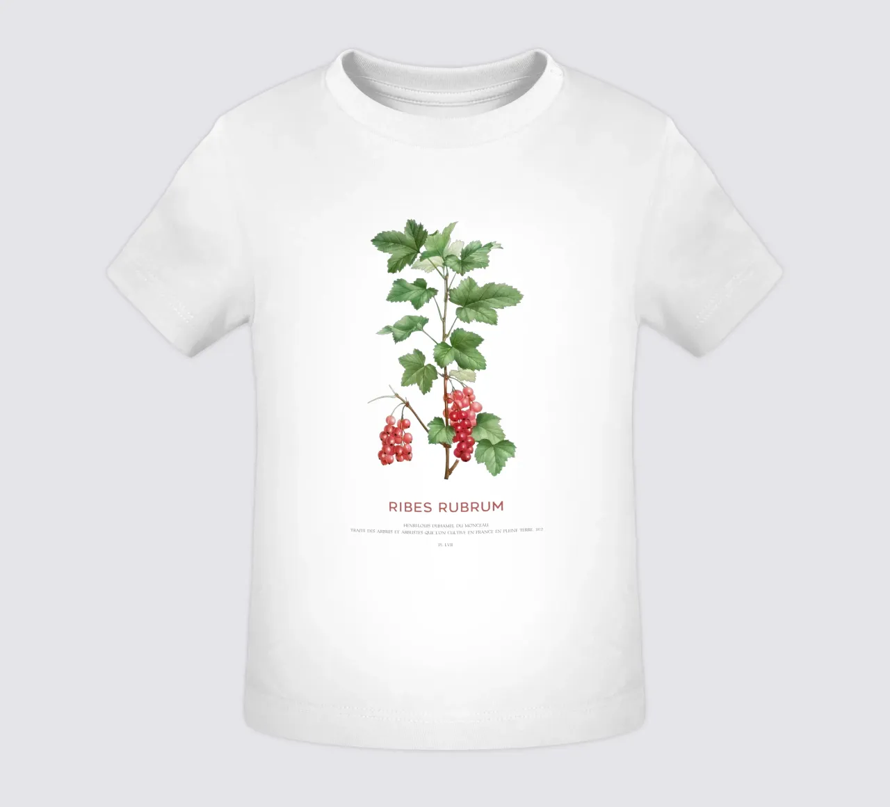Ribes rosso o Ribes Rubrum maglietta neonato da Vintagrafica