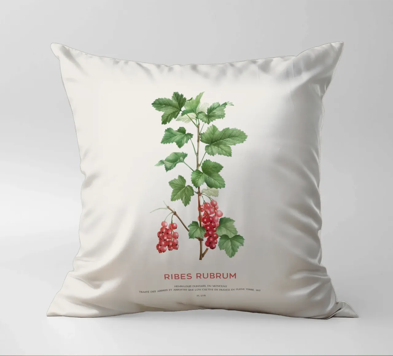Ribes rosso o Ribes Rubrum cuscino da Vintagrafica