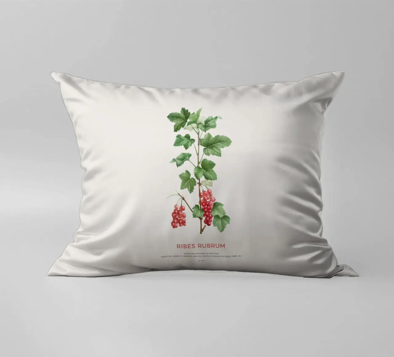 Ribes rosso o Ribes Rubrum cuscino da Vintagrafica