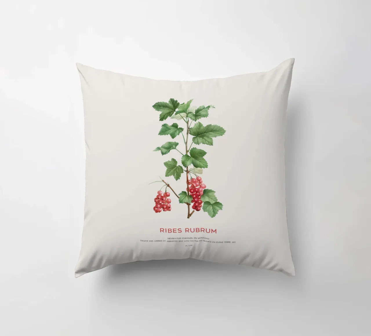 Ribes rosso o Ribes Rubrum cuscino da Vintagrafica