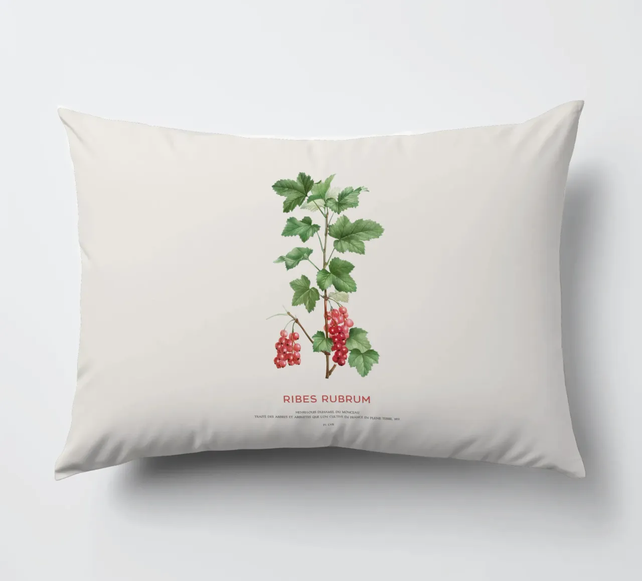 Ribes rosso o Ribes Rubrum cuscino da Vintagrafica