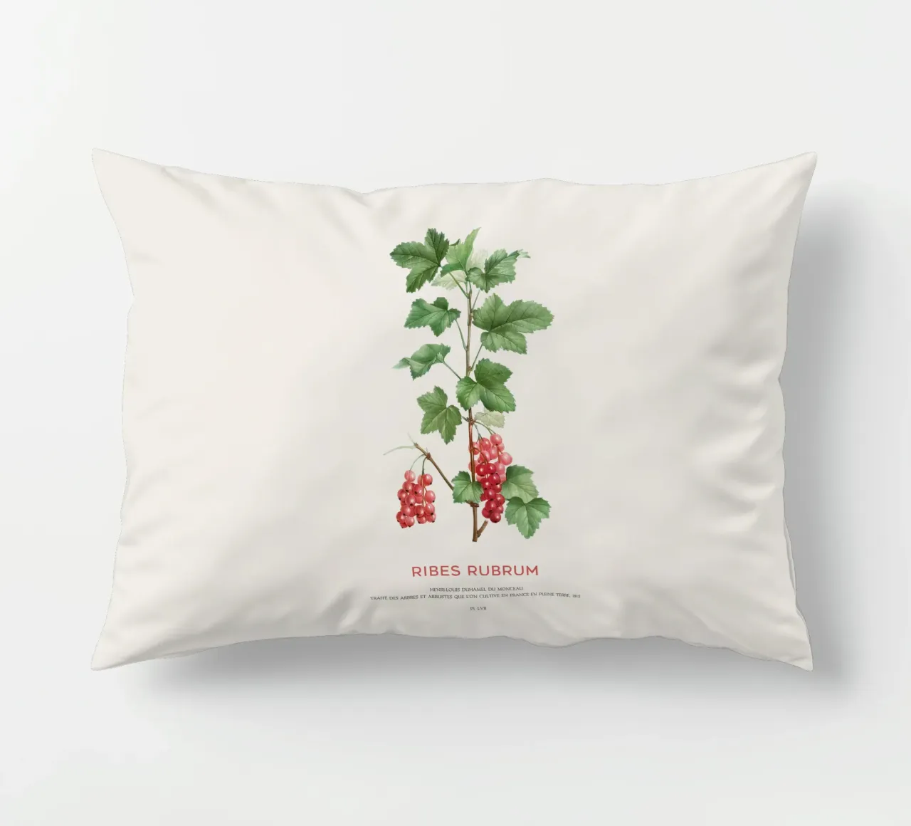 Ribes rosso o Ribes Rubrum cuscino da Vintagrafica