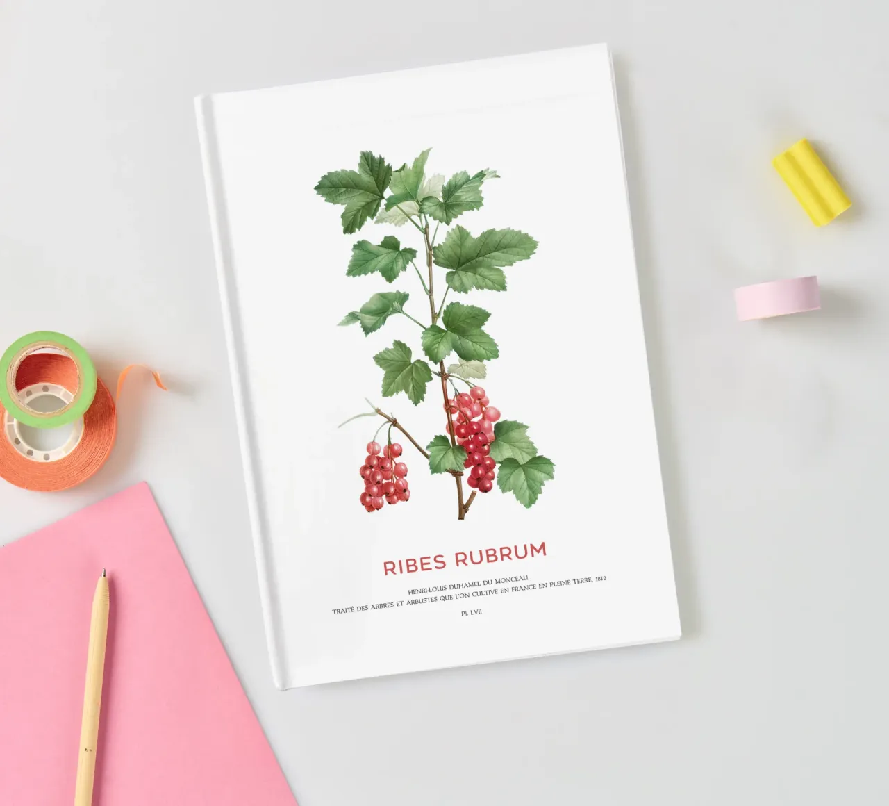 Red currant or Ribes Rubrum notebook by Vintagrafica