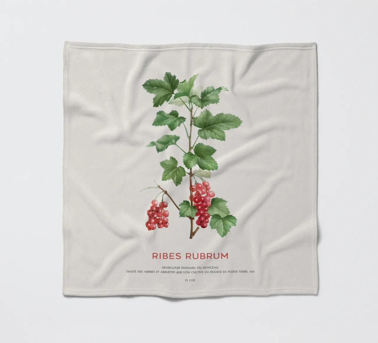 Ribes rosso o Ribes Rubrum coperta in pile da Vintagrafica