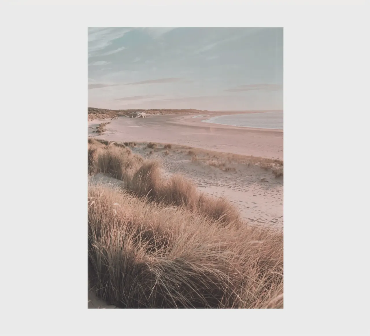 Dune assolate - pace e natura diario da Whole©