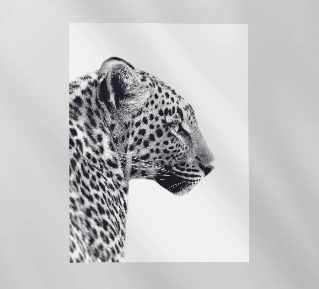 Luipaardprofiel - Wild en majestueus backlit folie van Whole©