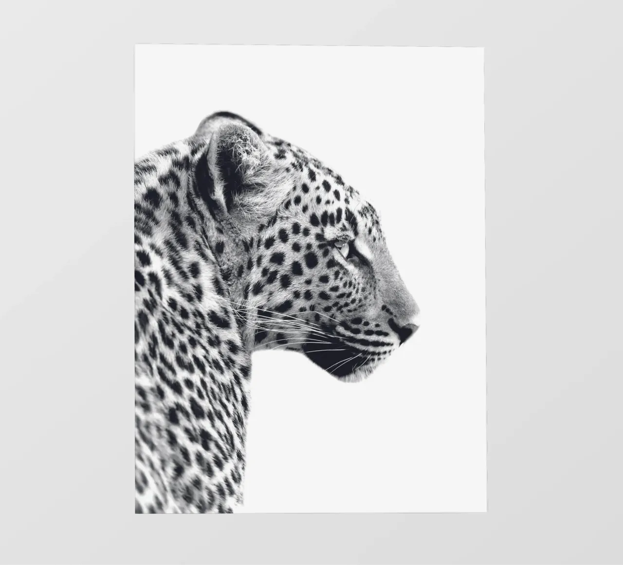 Luipaardprofiel - Wild en majestueus backlit folie van Whole©