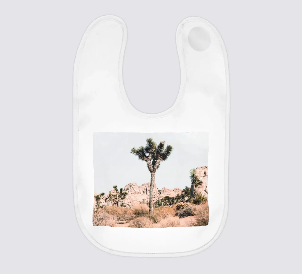 Joshua Tree - Minimalismo del deserto bavaglino da Whole©