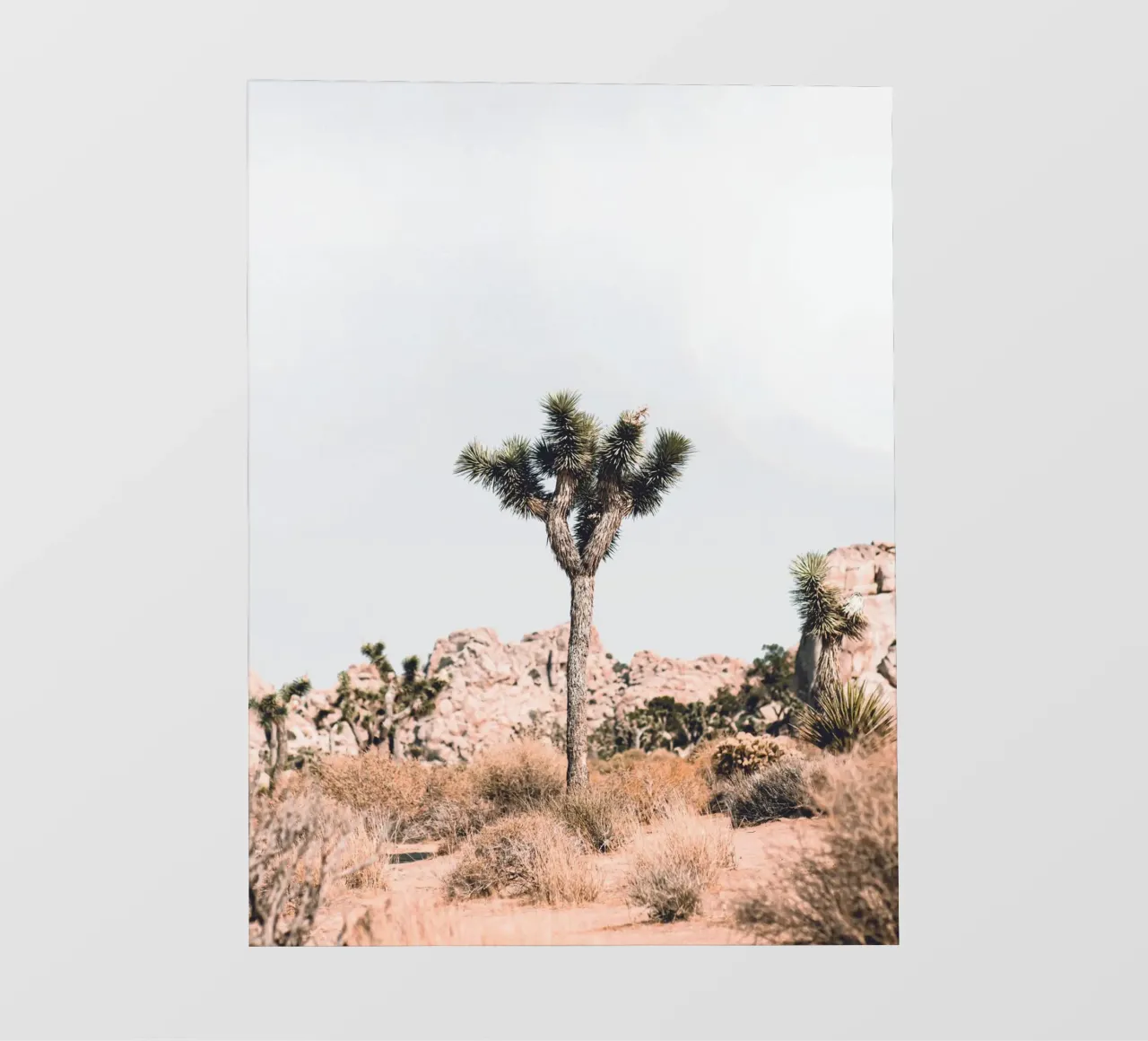 Joshua Tree - Minimalismo del deserto telo in pvc da Whole©