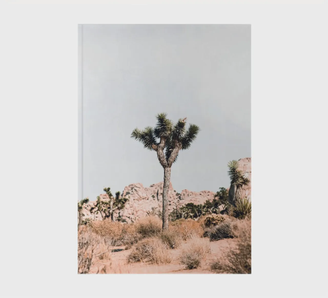 Joshua Tree - Desert minimalism notebook by Whole©