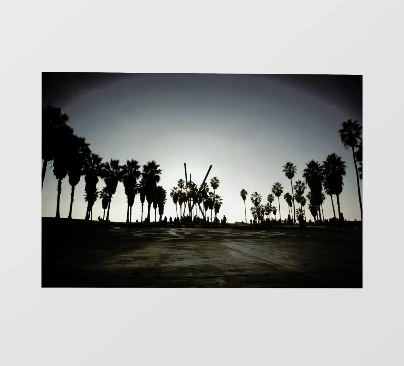 V backlit folie van Marc Gruninger