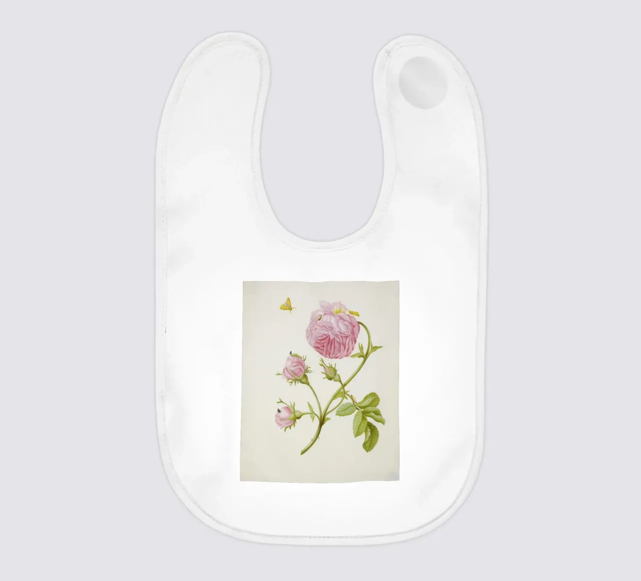 Merian - Anemone con falena bavaglino da ARTOTHEK