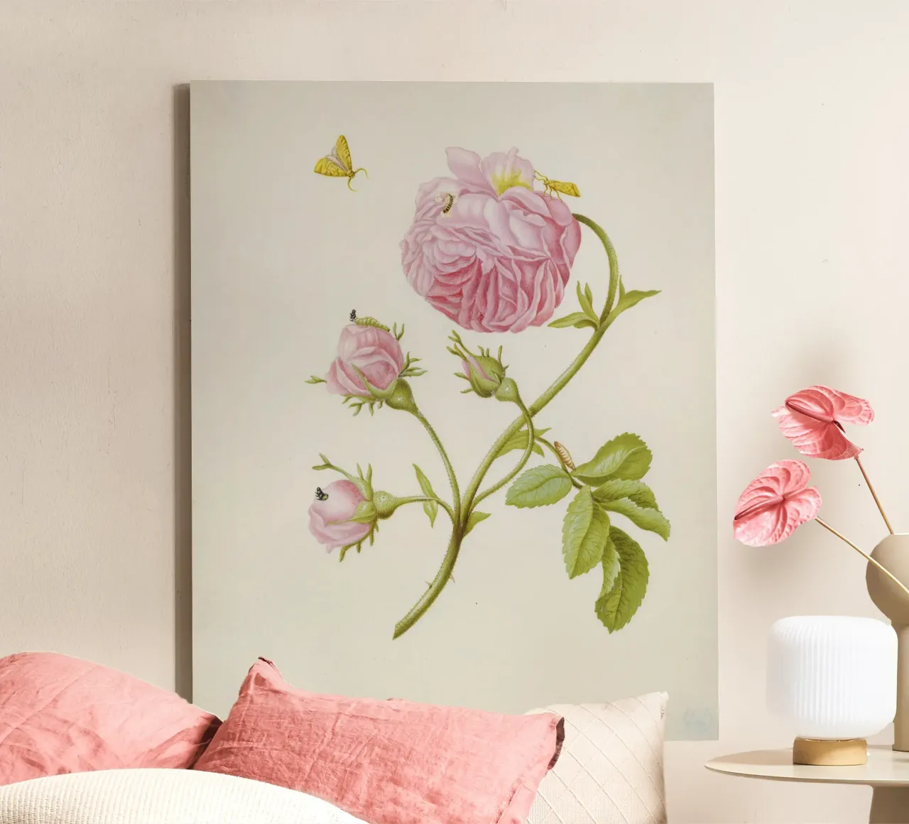 Merian - Anemone with moth canvas by ARTOTHEK