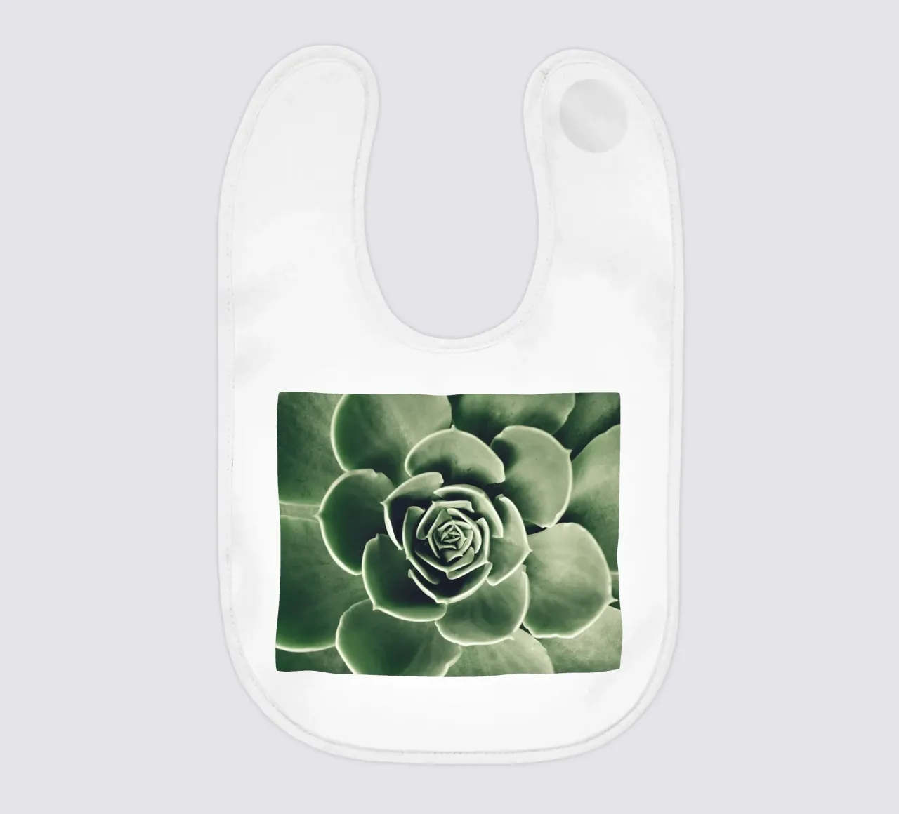 Amore per le succulente - minimalismo verde bavaglino da Whole©