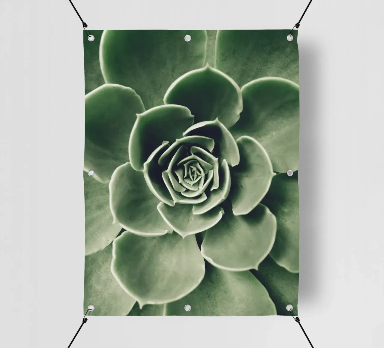 Amore per le succulente - minimalismo verde telo in pvc da Whole©