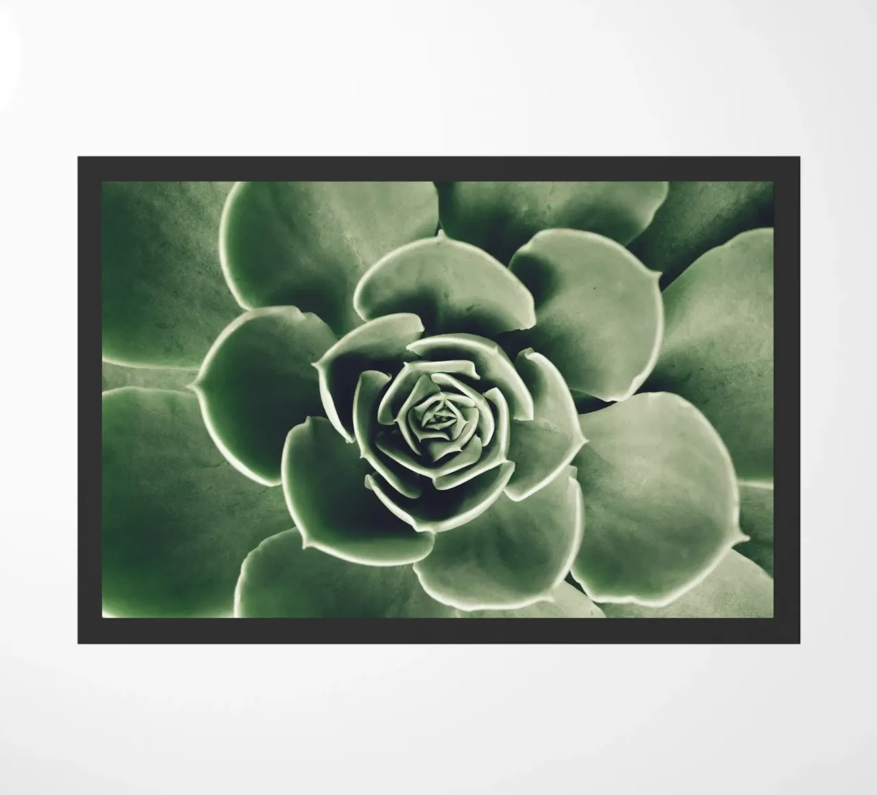 Amore per le succulente - minimalismo verde zerbino da Whole©