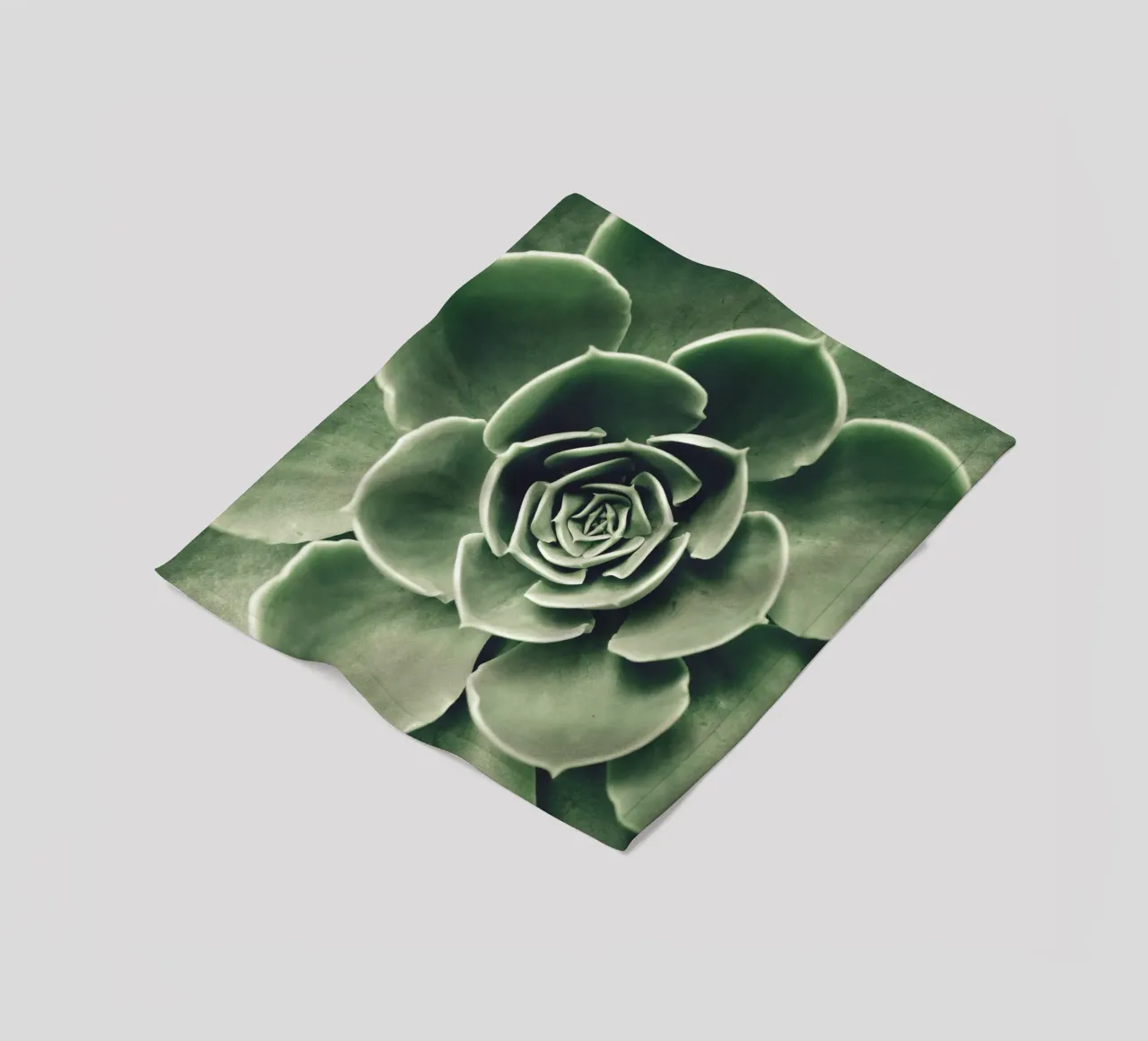Amore per le succulente - minimalismo verde coperta in pile da Whole©
