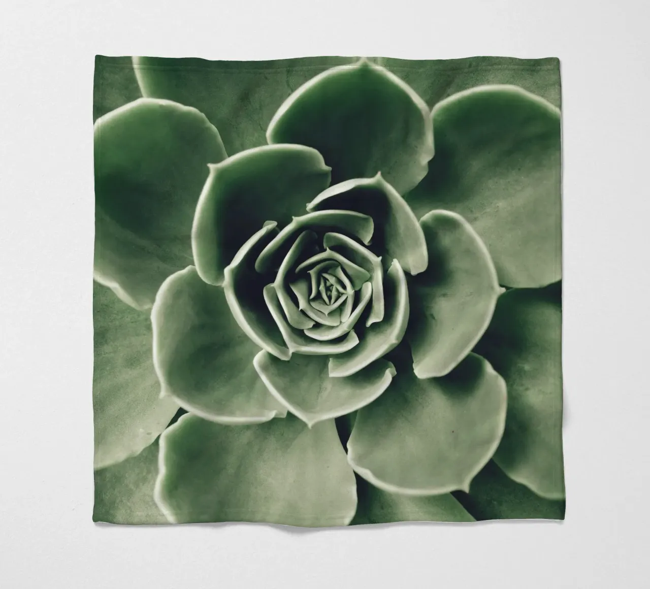 Amore per le succulente - minimalismo verde coperta in pile da Whole©