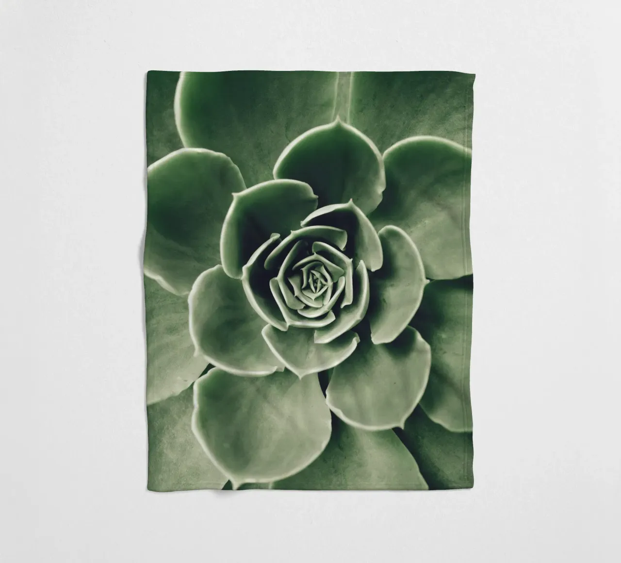 Amore per le succulente - minimalismo verde coperta in pile da Whole©