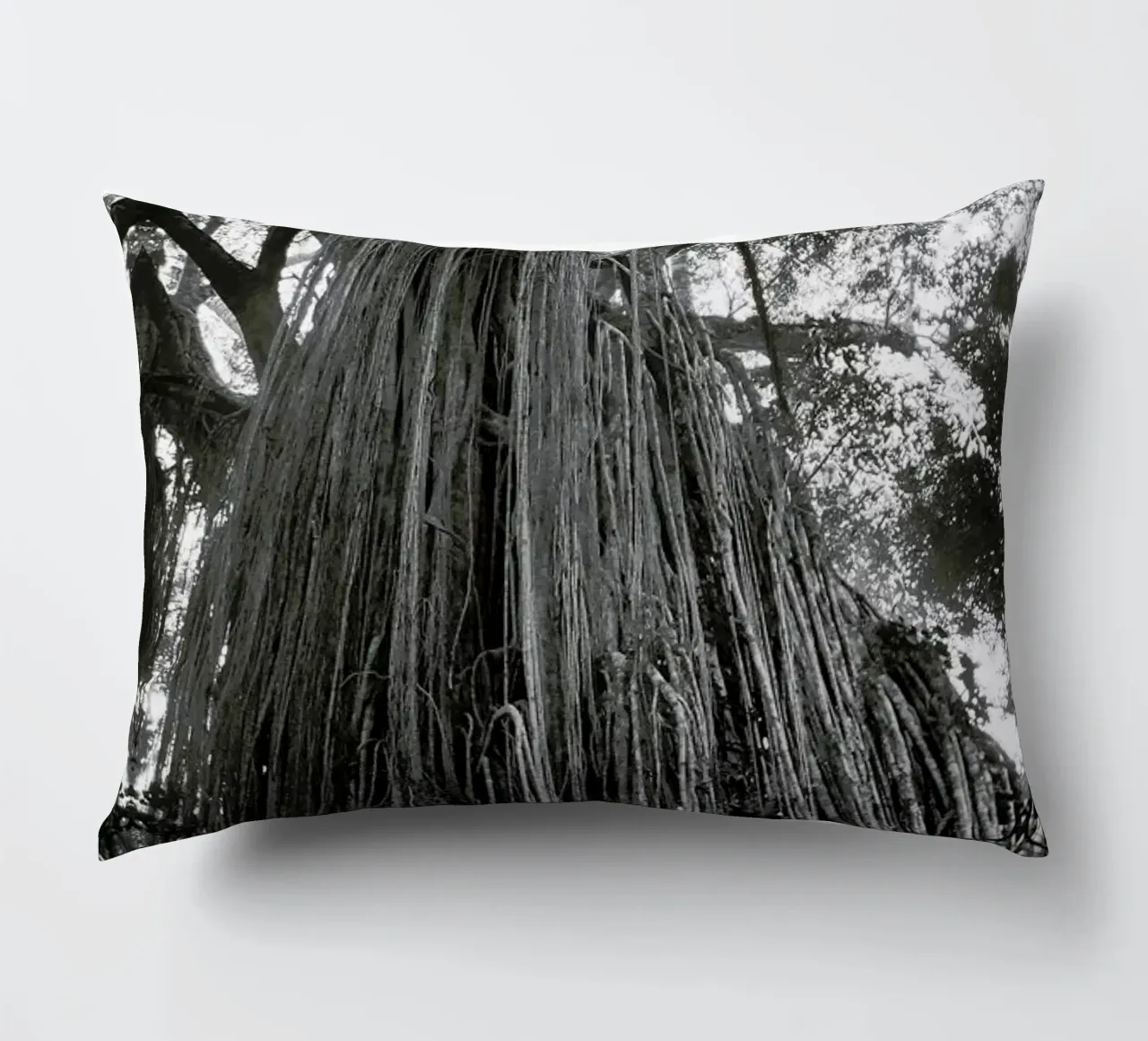 Curtain Fig Tree cuscino da Victoria Frost