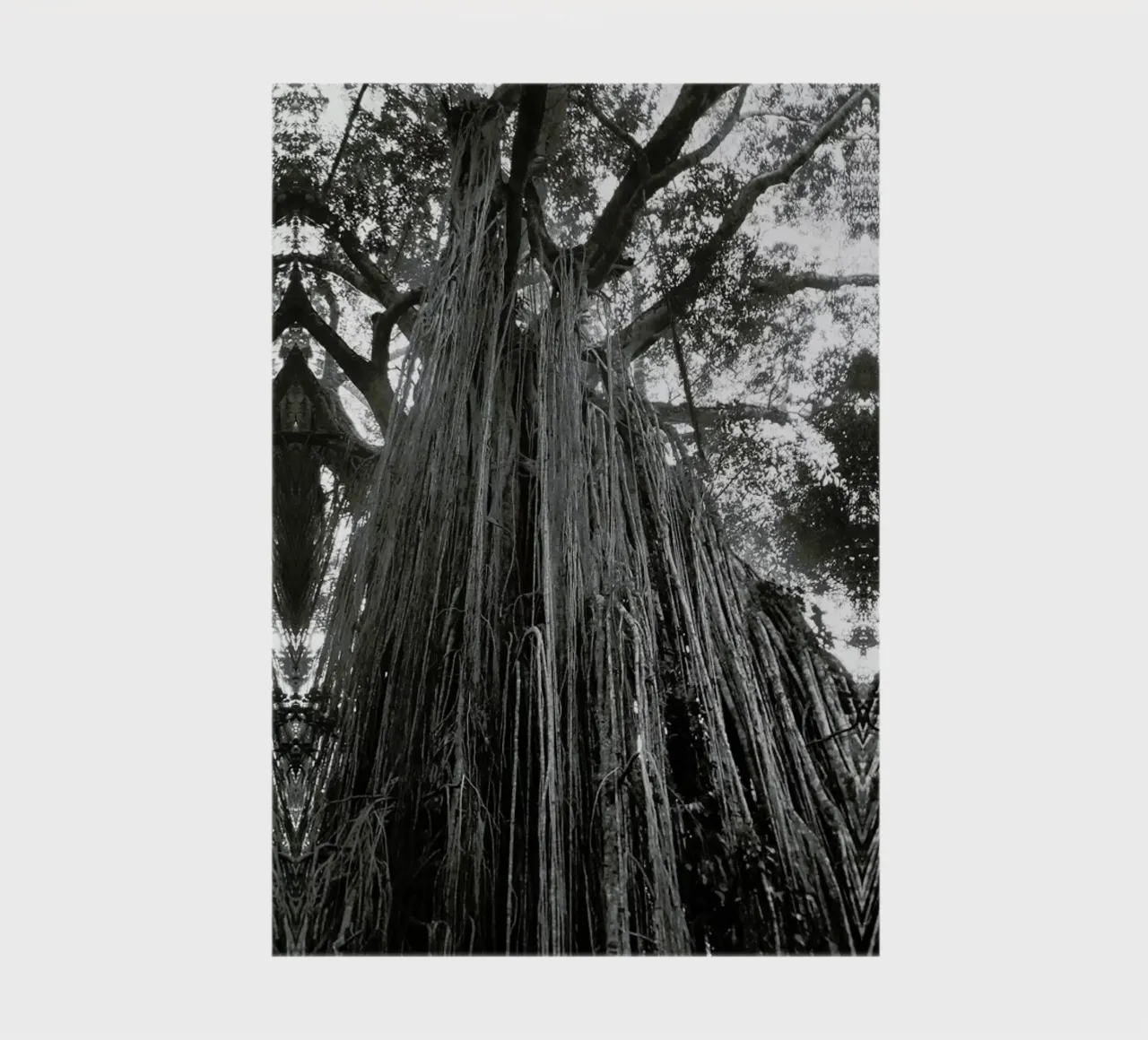 Curtain Fig Tree notebook by Victoria Frost