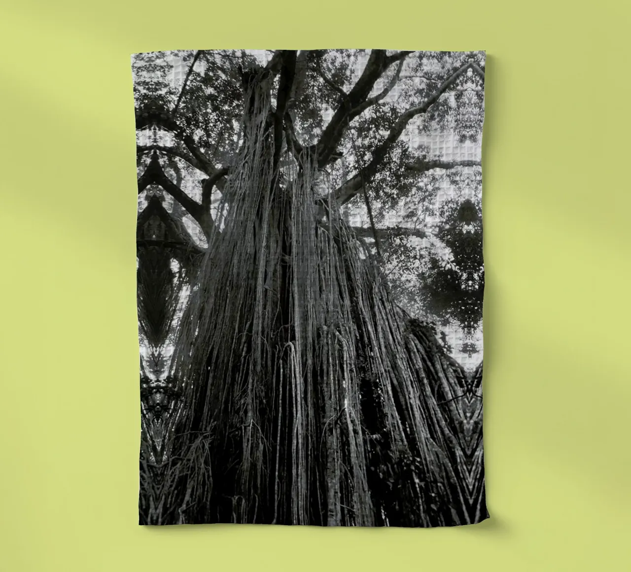 Curtain Fig Tree canovaccio da cucina da Victoria Frost