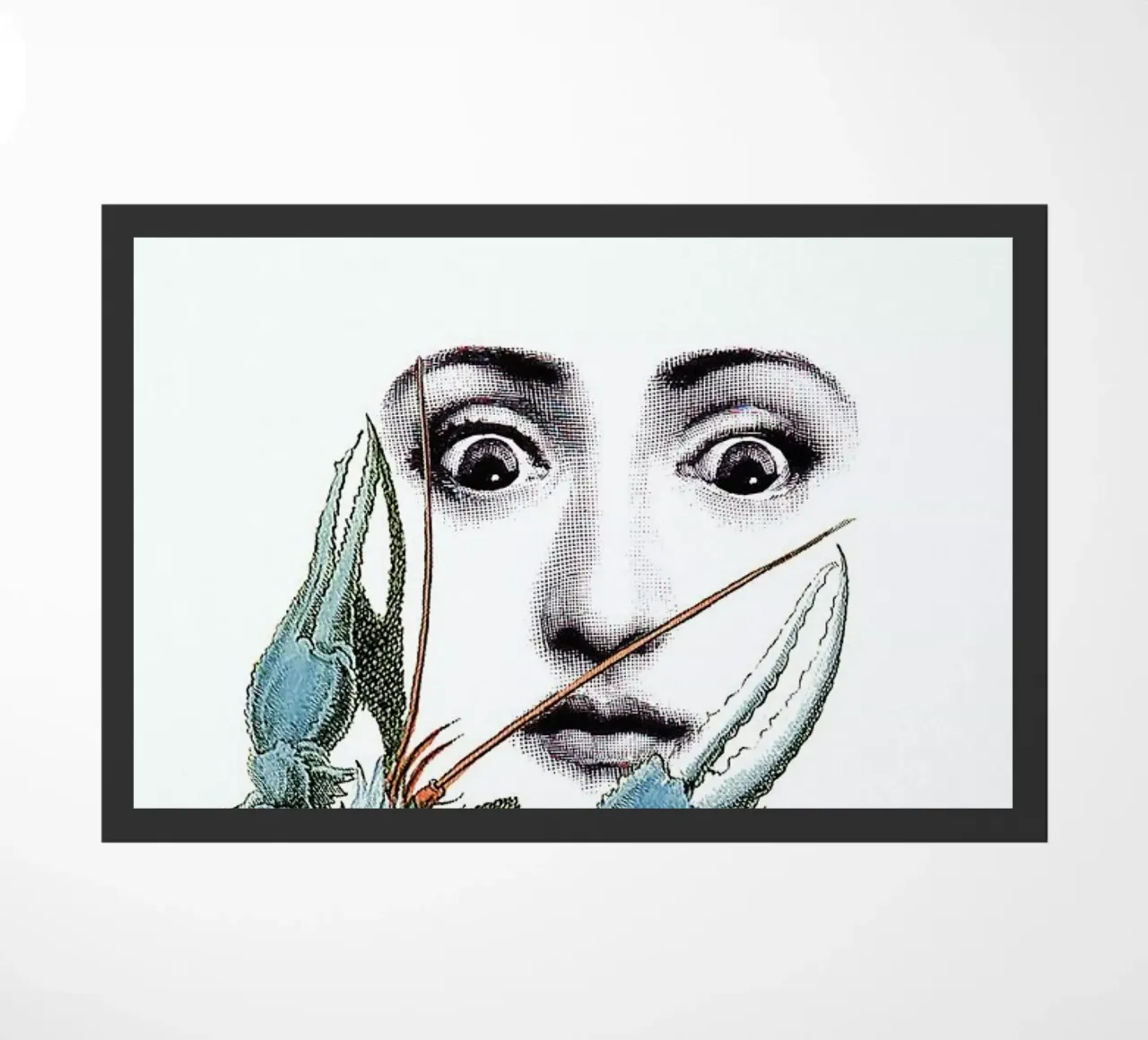 WOW2 zerbino da Rococco LA