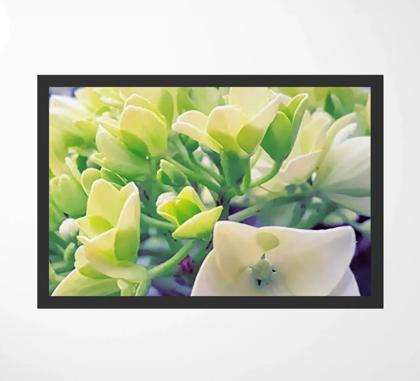 Flower coming spring doormat by Teresa André